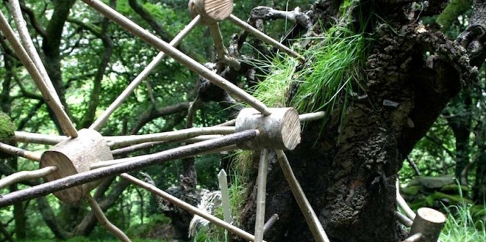 Fungidome-2